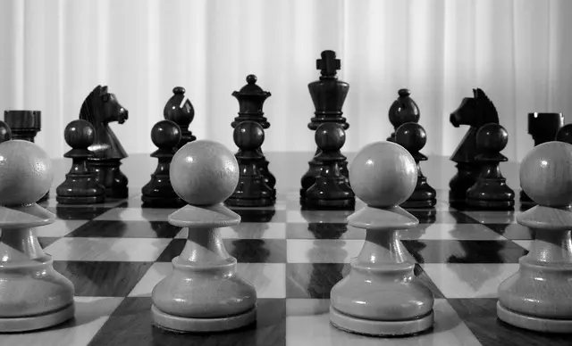 chess-1227631_640